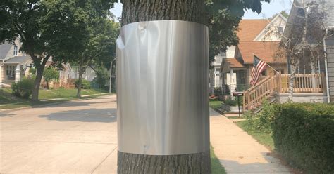 sheet metal wrap for trees|sheet metal bands for trees.